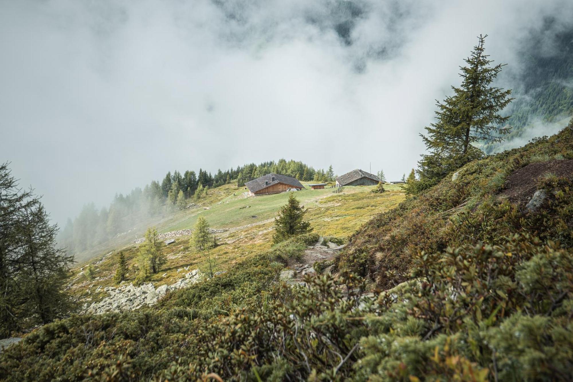 Apparthotel Sonnwies Selva dei Molini Exterior foto